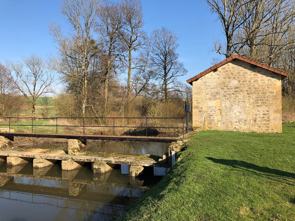 Des frênes, au niveau du barrage de La Hobette