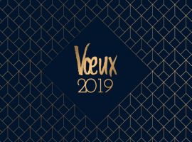 Vœux 2019 - Département des Ardennes